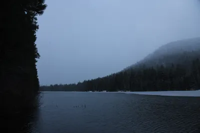 DSC_5813 (Large).JPG